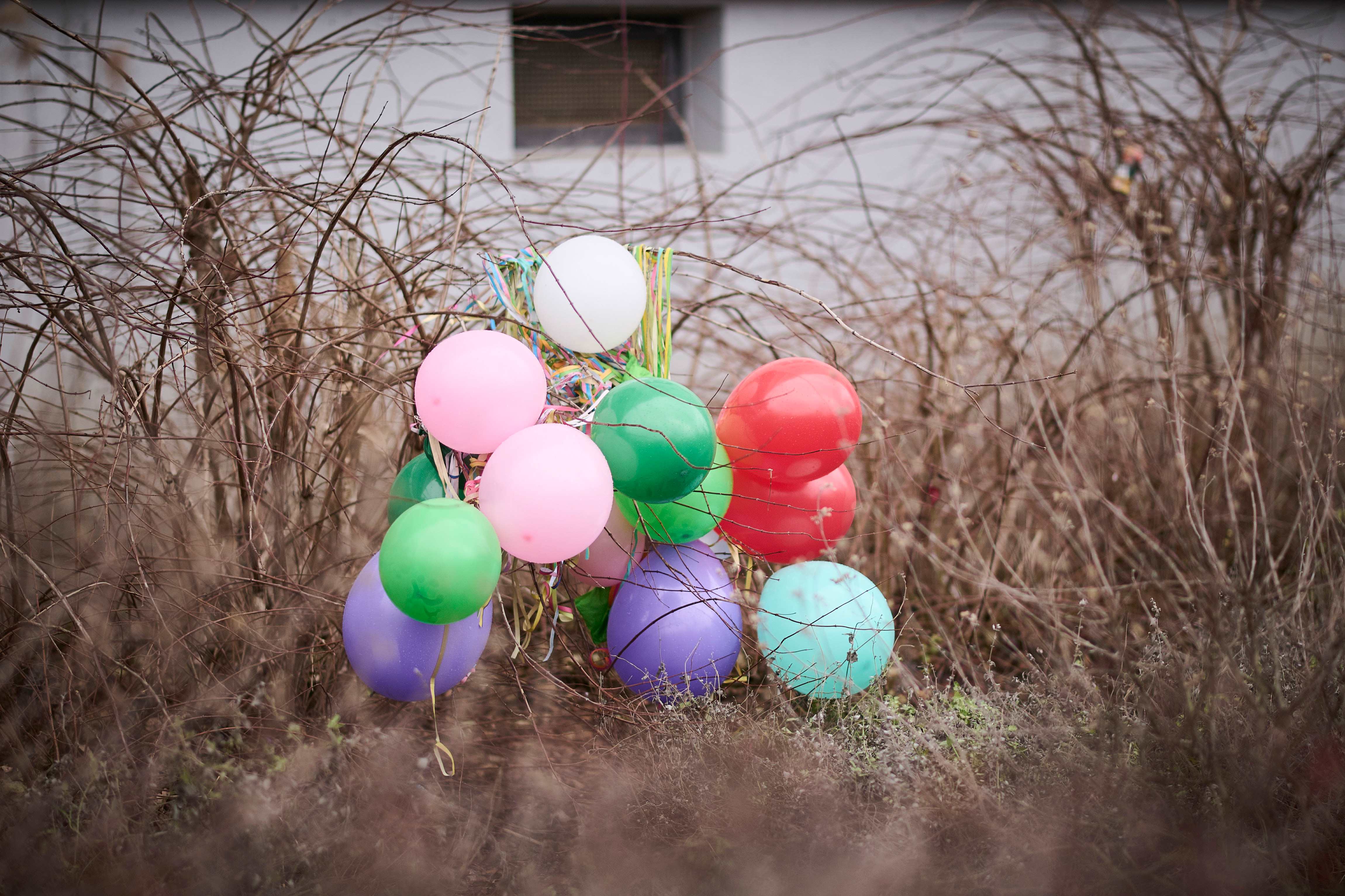 Berlin, Neujahr, Abfall auf den Straßen