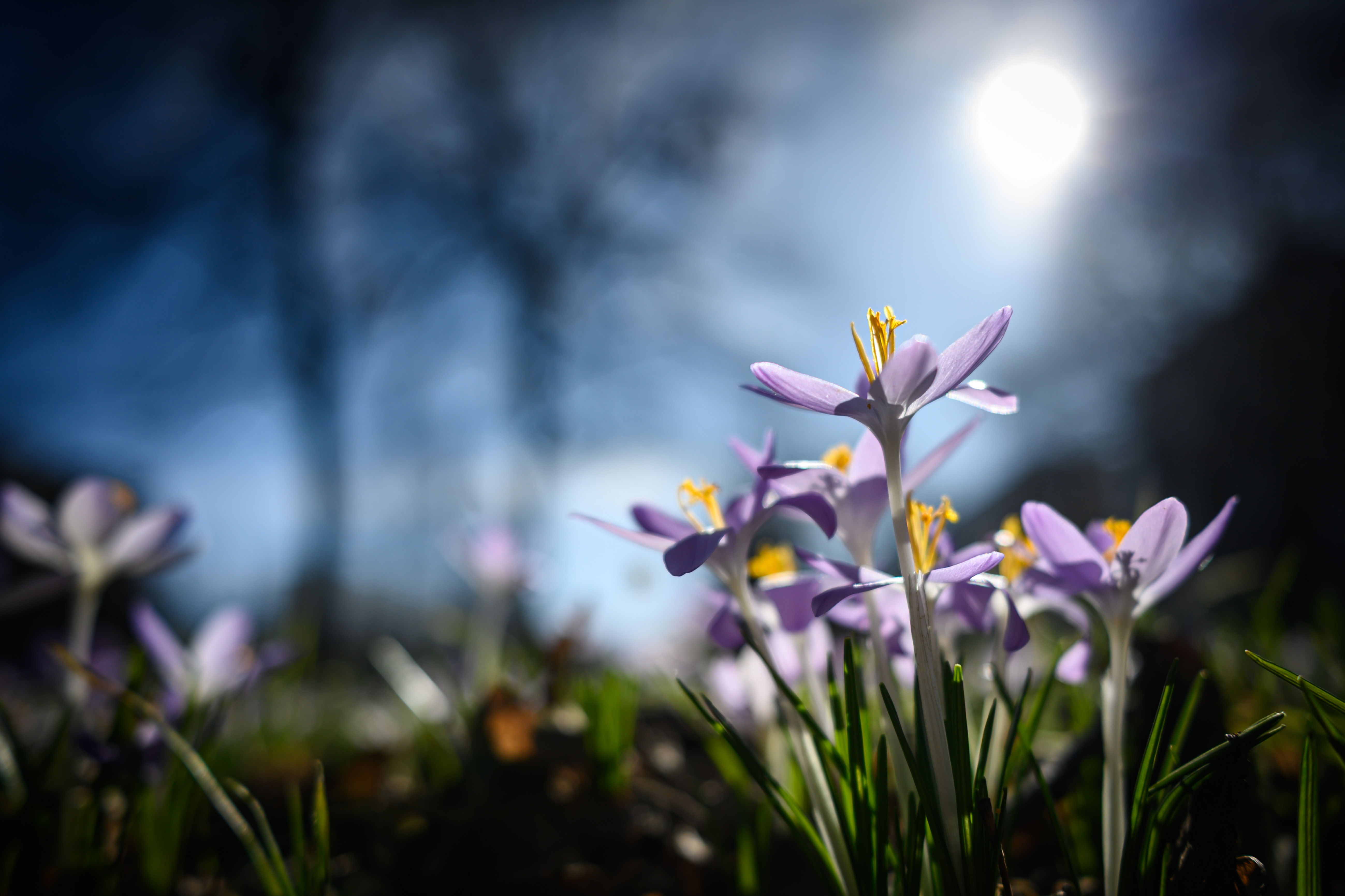 Berlin, Frühlingswetter in der Hauptstadt
